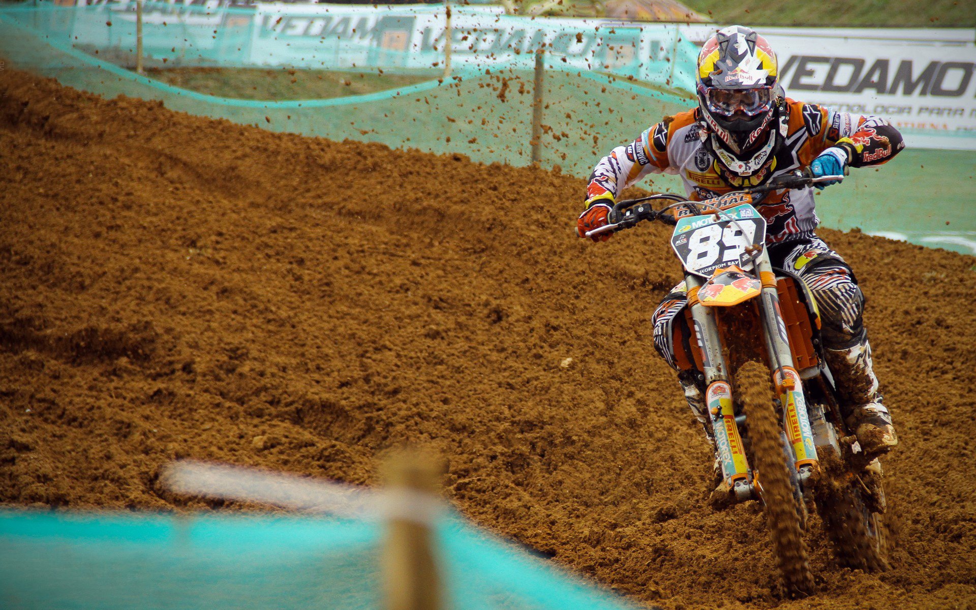 综合格斗赛场焦点！美国队对阵比利时队，主力缺阵，替补球员挺身而出