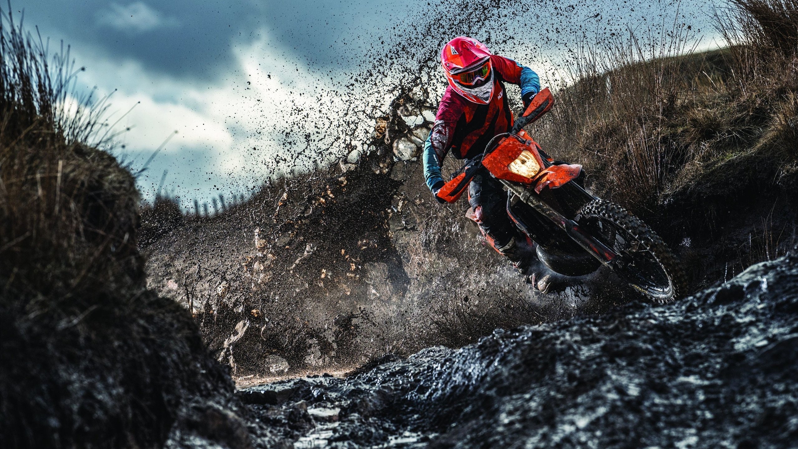 网球赛场焦点！比利时队对阵韩国队，连胜纪录继续刷新，球队势不可挡